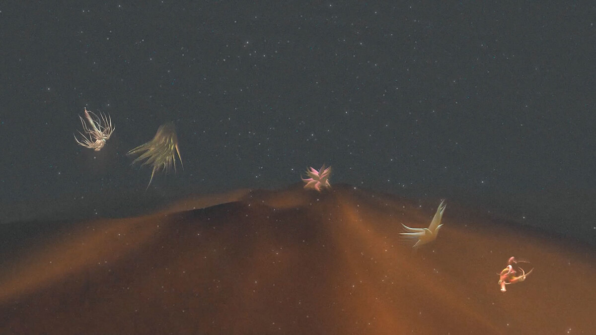 Deep Time Conspiracy, 3D Animation, Single-screen
