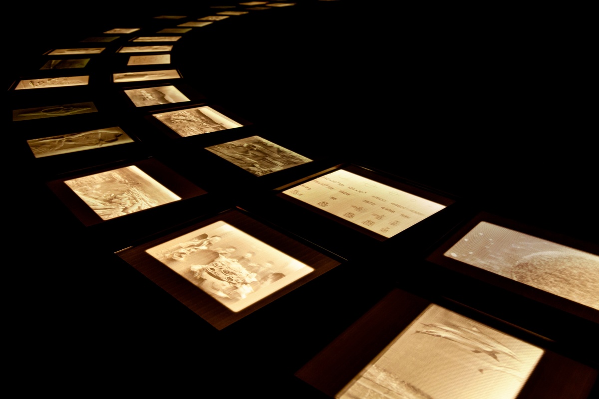 Covering Letter (Terranum Nuncius)