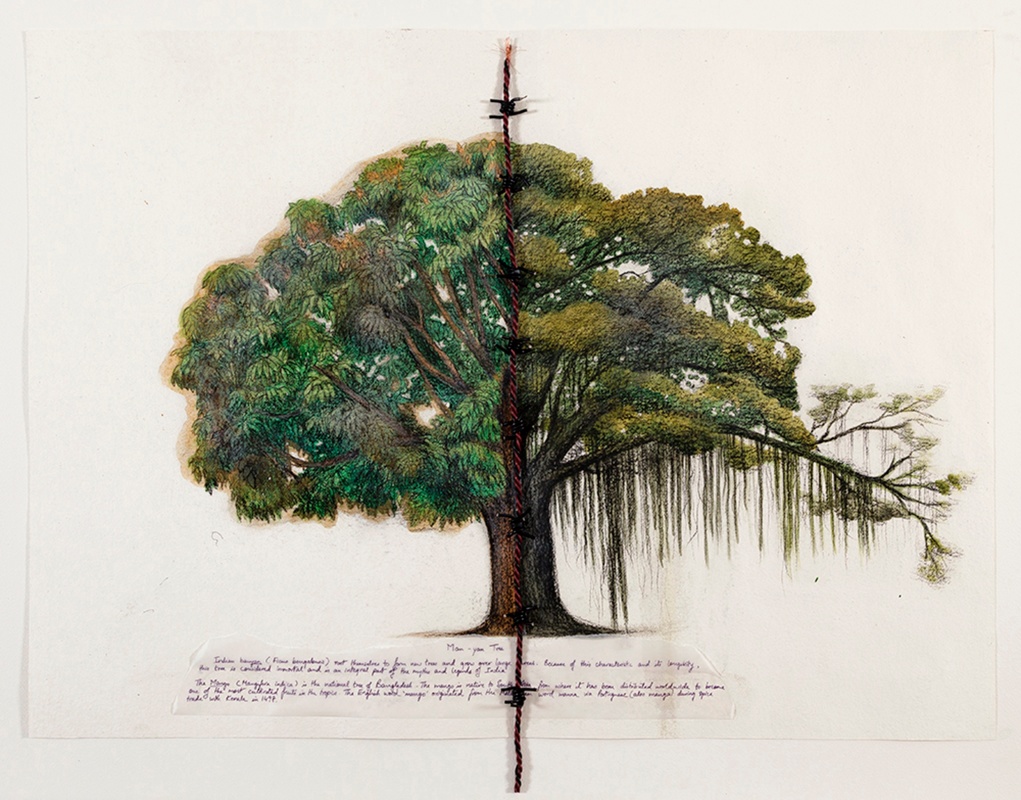 Hyphenated Lives (Man-yan Tree), 2015