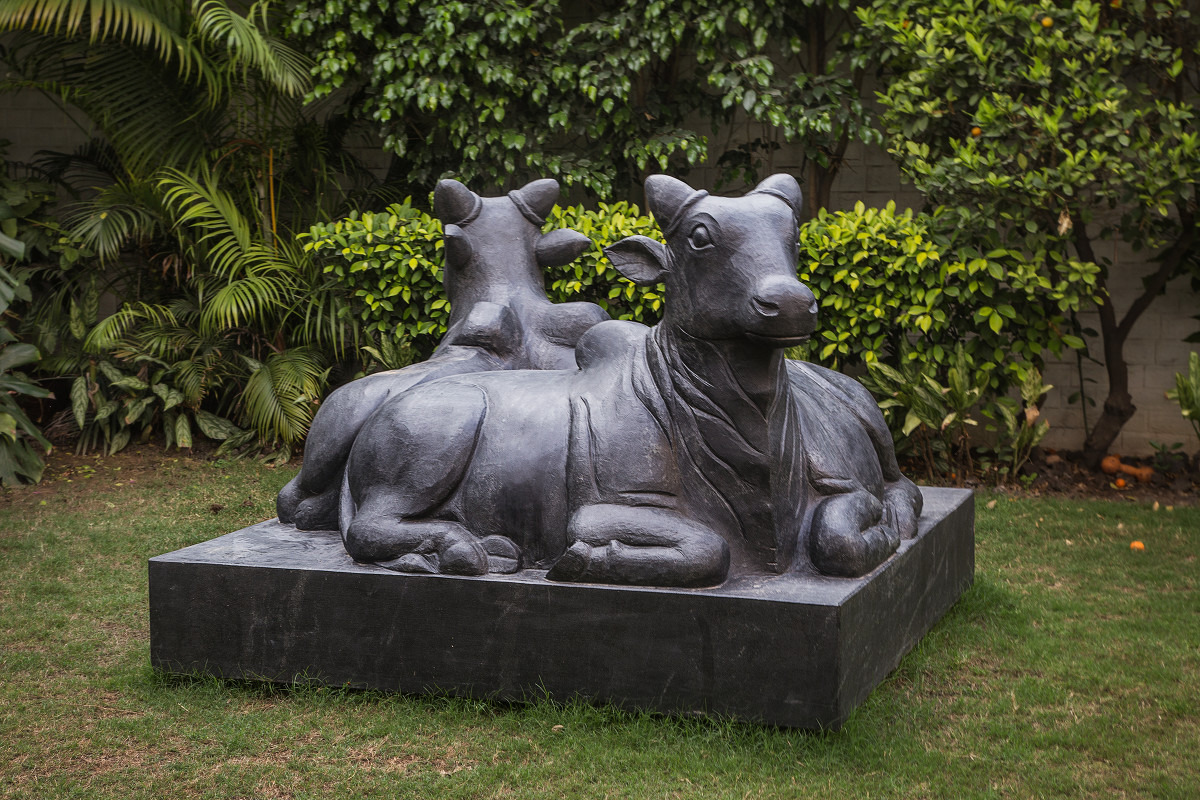 How... Cow... Wow...!