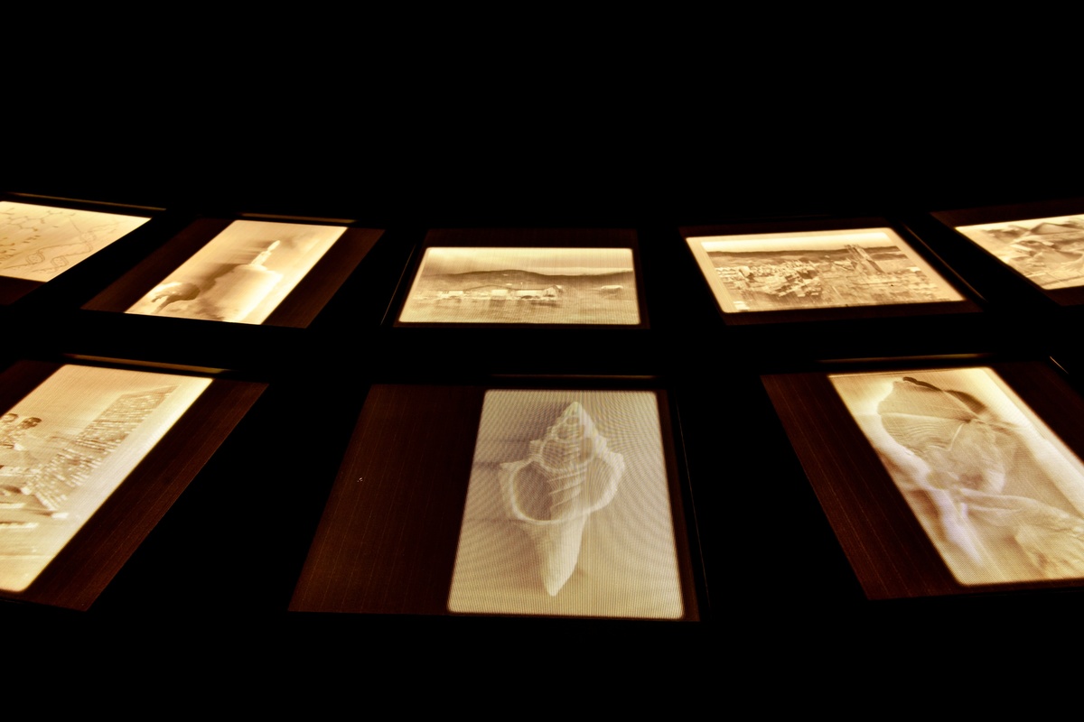 Covering Letter (Terranum Nuncius)