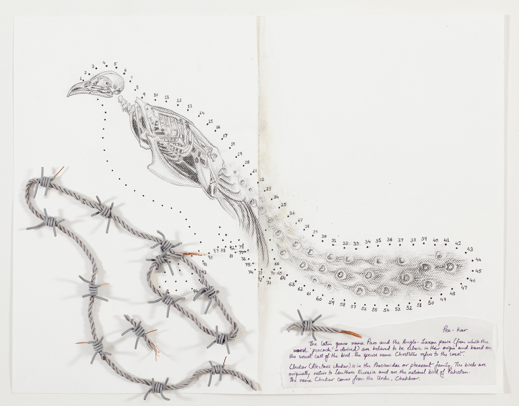 Hyphenated Lives (Pea-kar), 2015