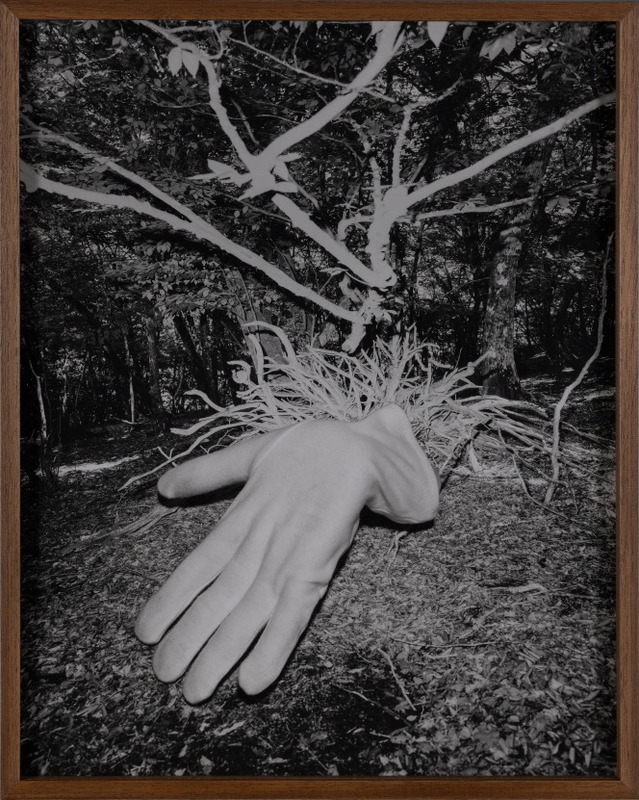 MOKSH (Maha kumbh, Prayagraj)