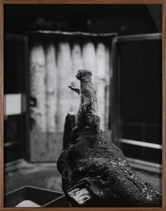 Pandit on the Boat (Maha kumbh)