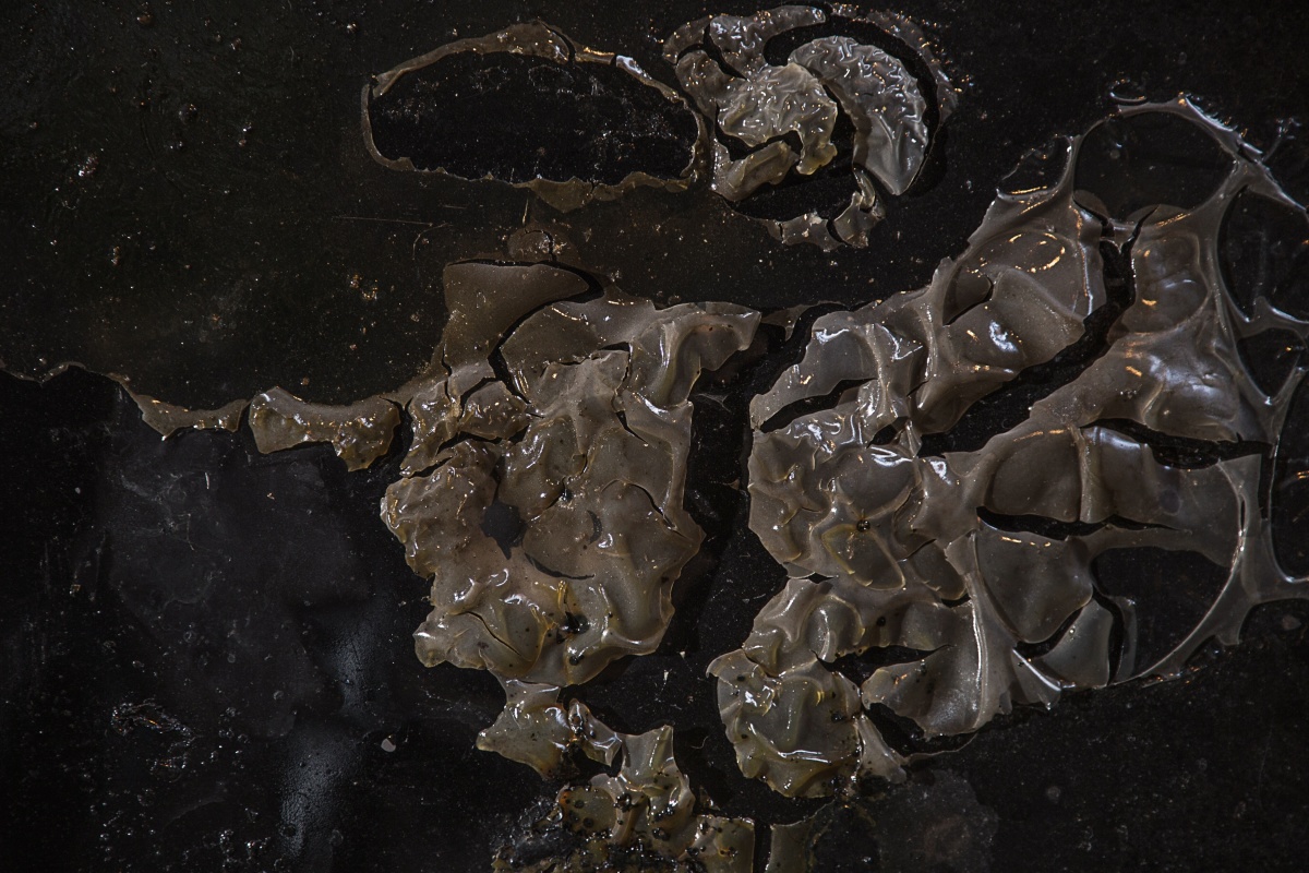 Ugly Black Panel (Detail)