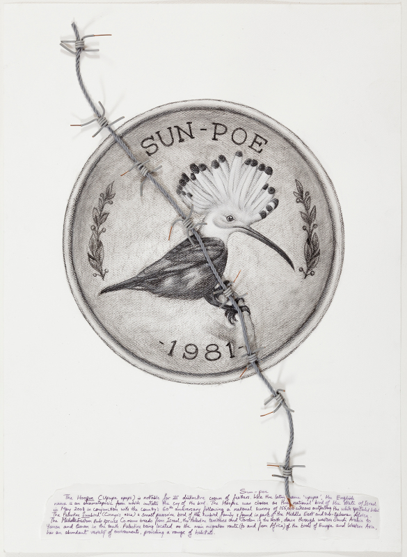 Hyphenated Lives (Sun-poe)