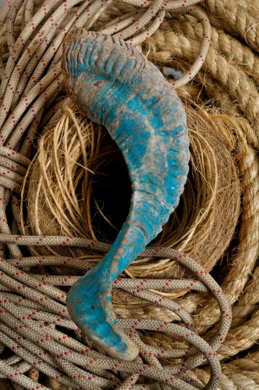 Coils of Rope and Horn of Ram, (Detail)