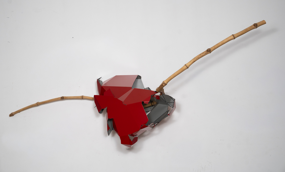 Demolition analysis Bhoomiheen Camp