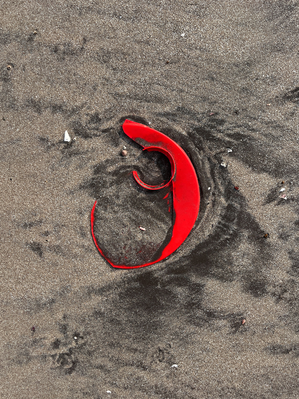 Untitled from the series "Beach Trash"