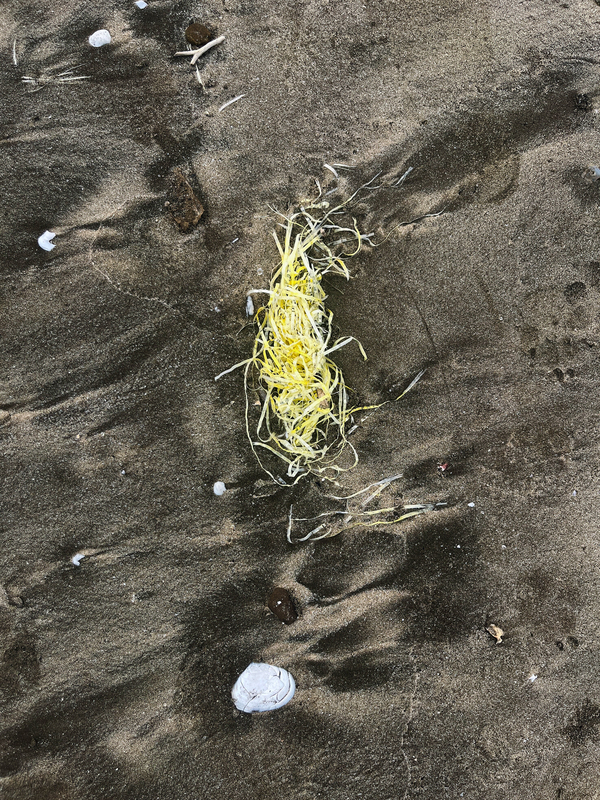 Untitled from the series "Beach Trash"