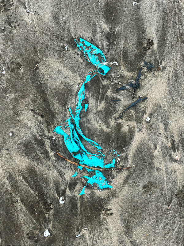 Untitled from the series "Beach Trash"