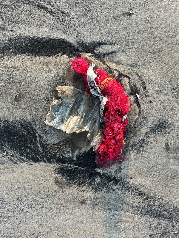 Untitled from the series "Beach Trash"