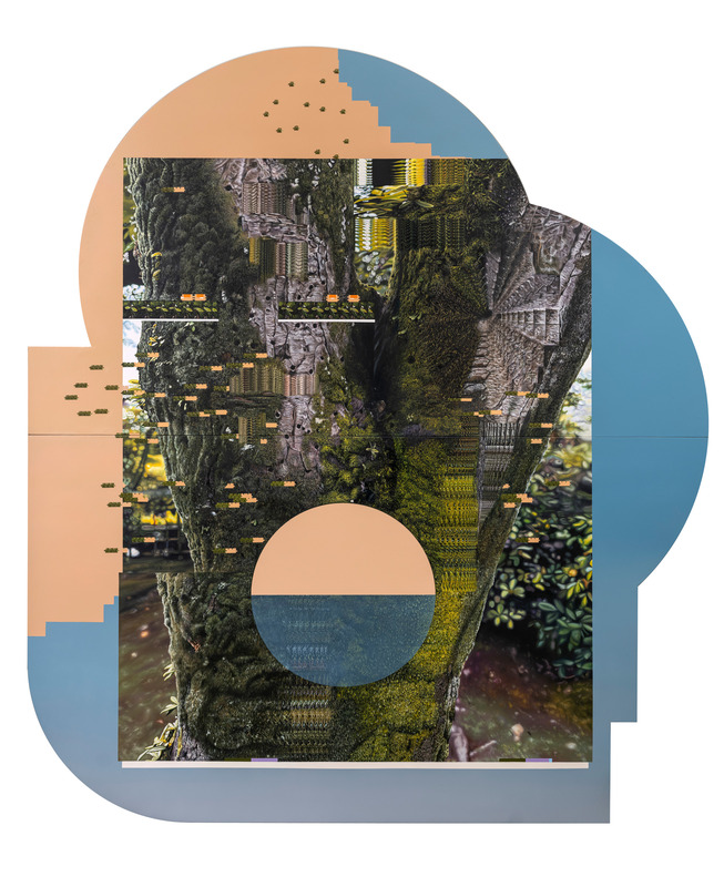 Arboretum 18- Acer palmatum