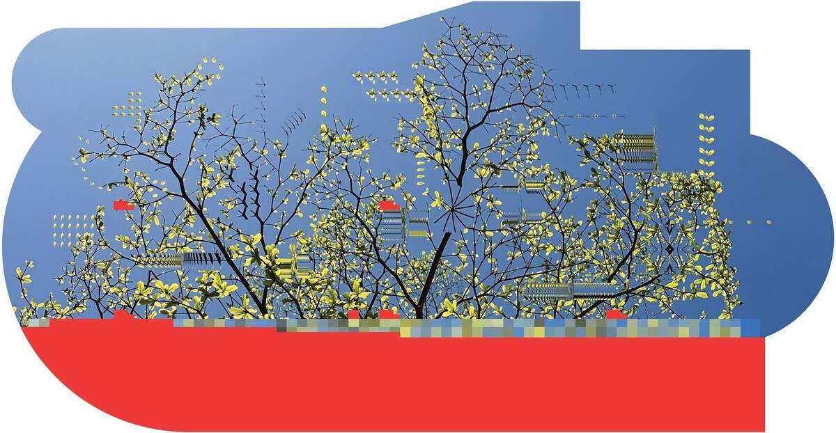 Arboretum 23 - Terminalia Mantaly A