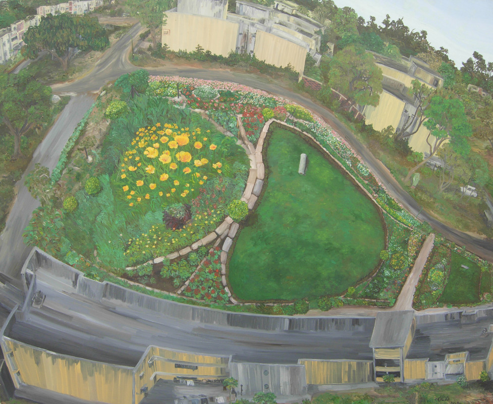 Yellow flowers in Mr. Jangid's garden