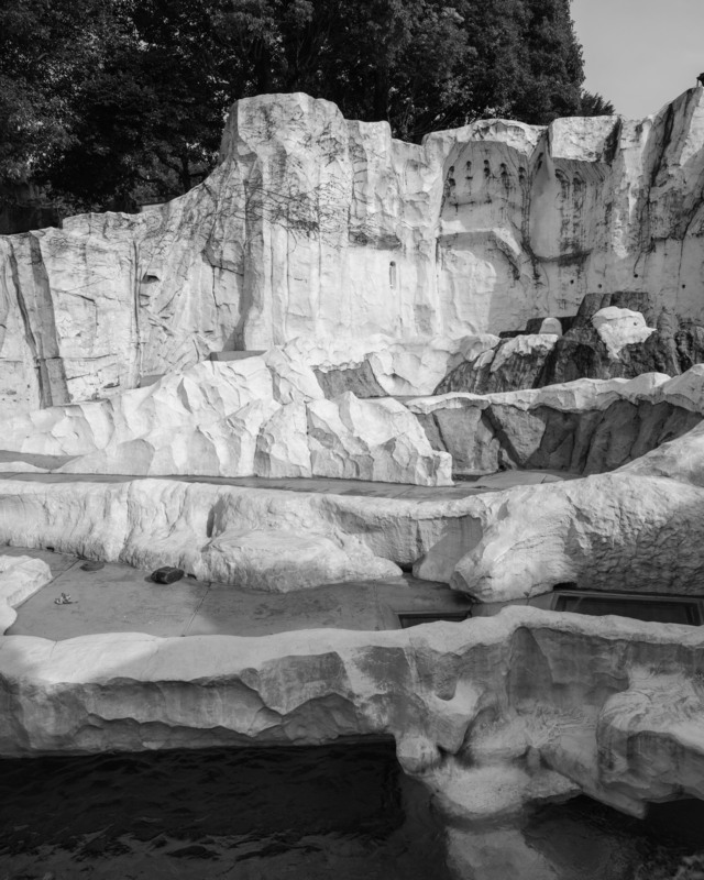 AMRIT (Maha kumbh, Prayagraj)