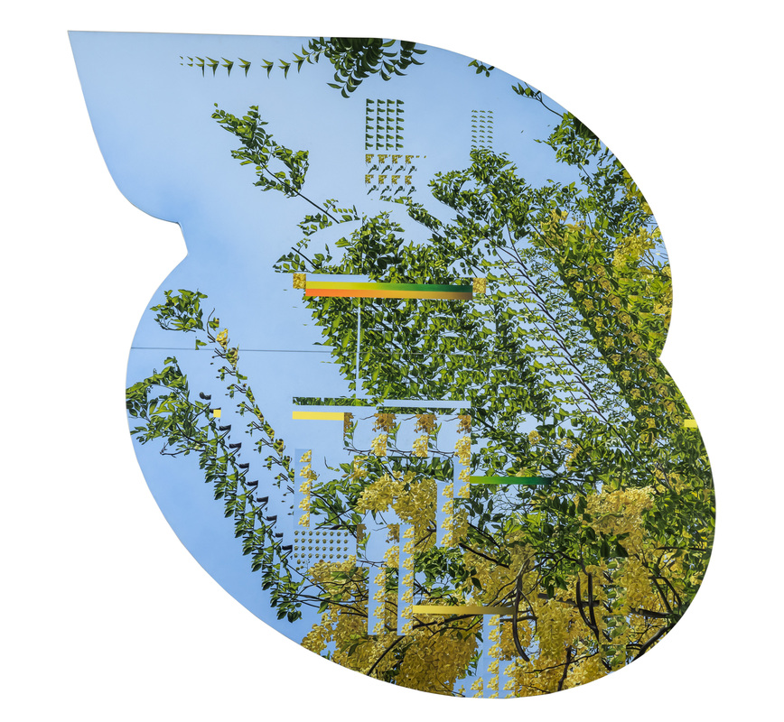 Arboretum 3 - Cassia Fistula