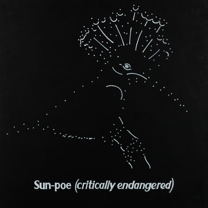 Sun-poe (critically endangered)
