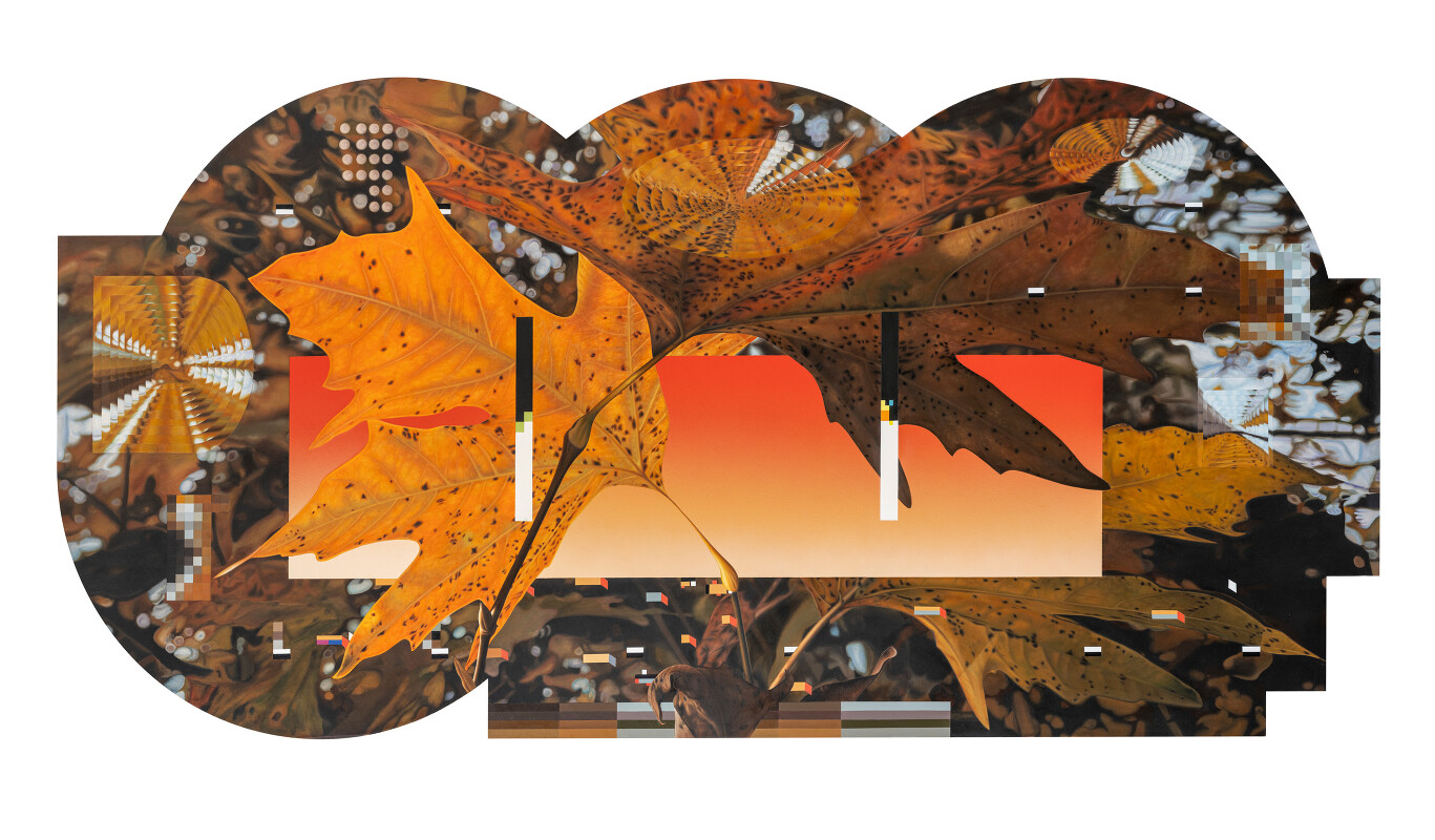 Arboretum 24- Platanus Orientalis