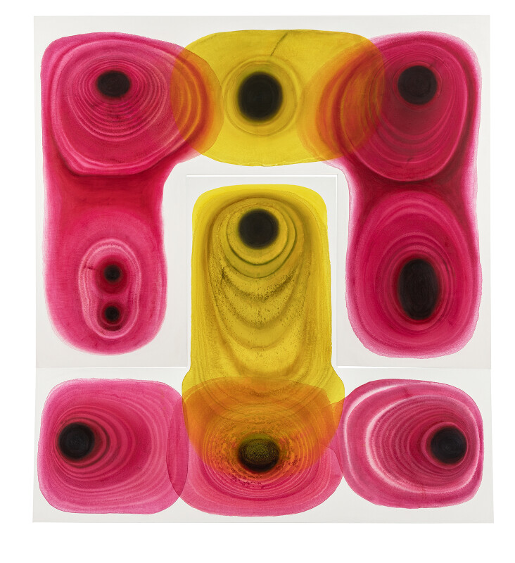 Indian Pink and Amber