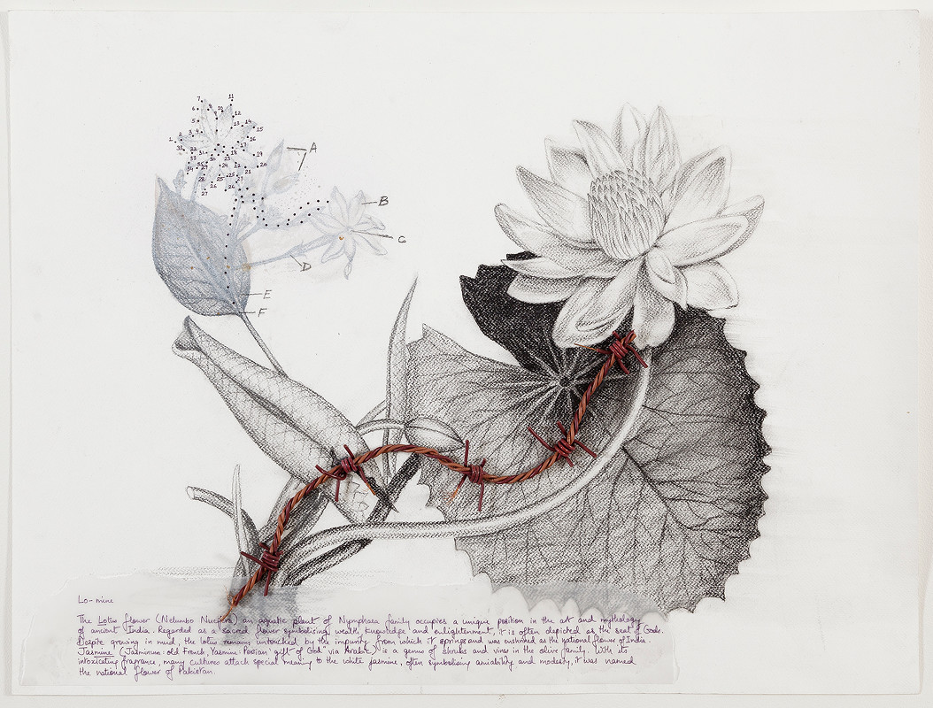 Hyphenated Lives (Lo-mine)