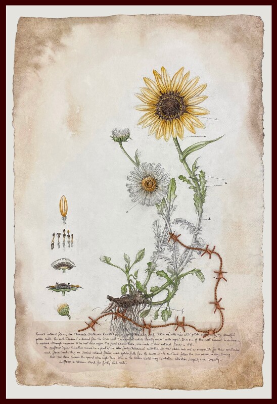 Hyphenated lives (Sun-omile)