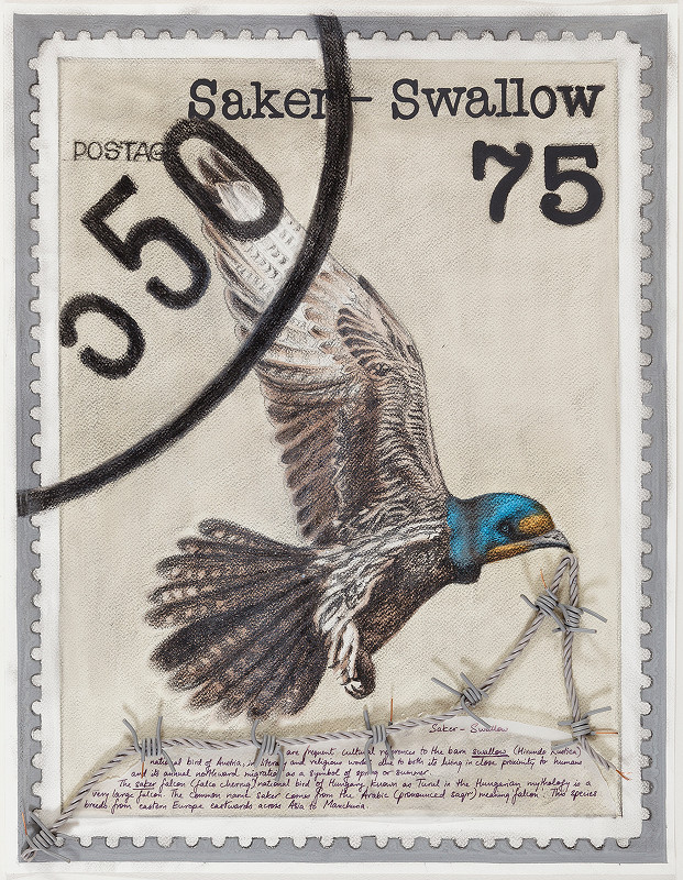 Hyphenated Lives (Saker-Swallow)