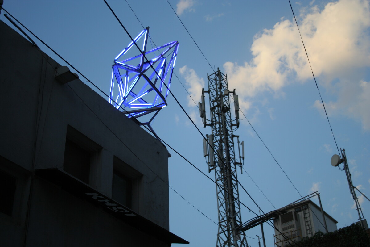 love like an icy cold fever (ode to dengu) 2011 (Installation view, Khoj, New Delhi, India)