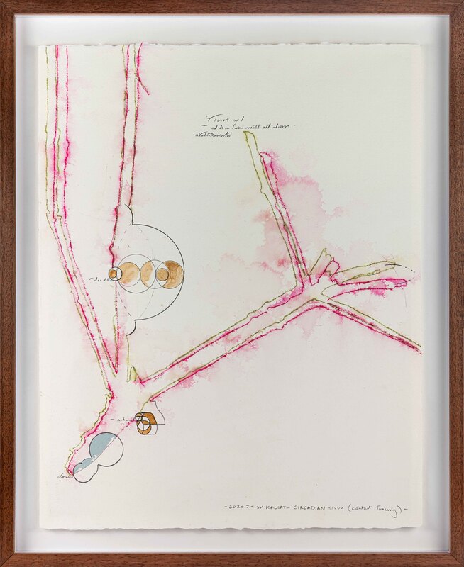 Circadian Study (contact tracing)