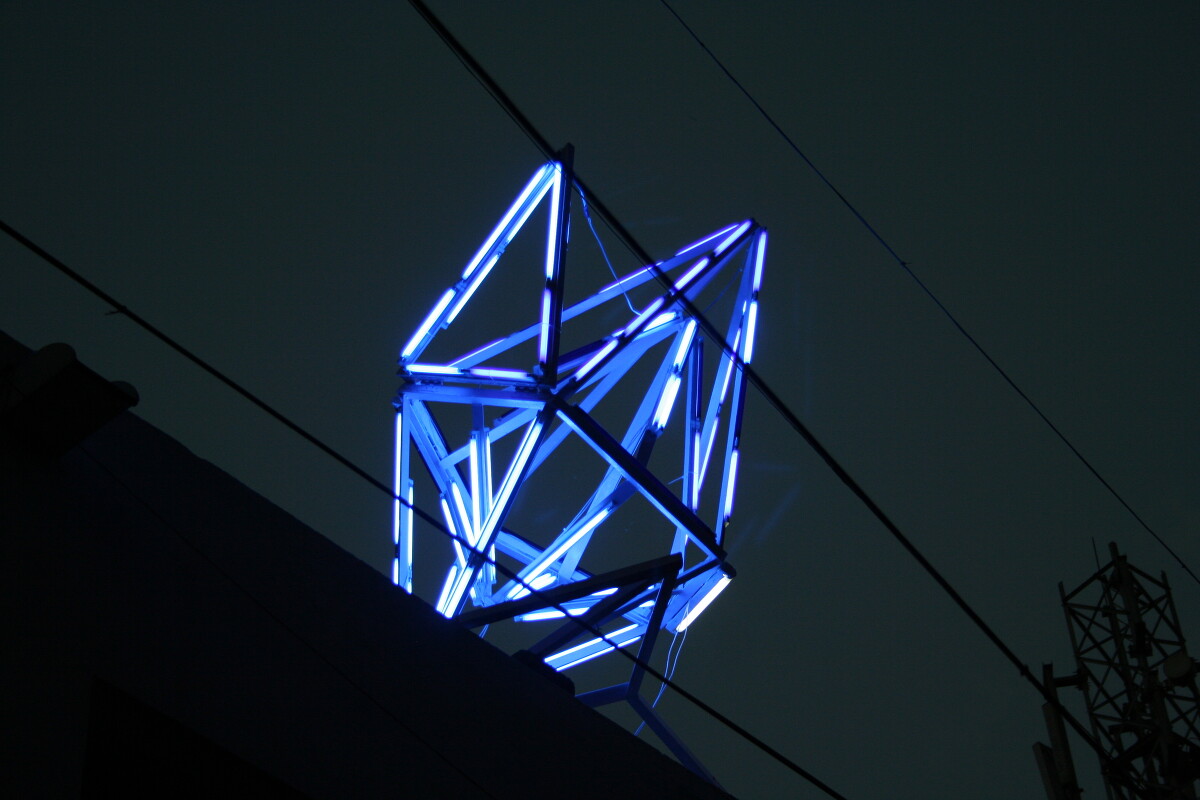 love like an icy cold fever (ode to dengu) 2011 (Installation view, Khoj, New Delhi, India)