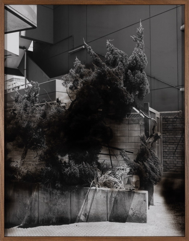 Tilak Seller (Maha kumbh)