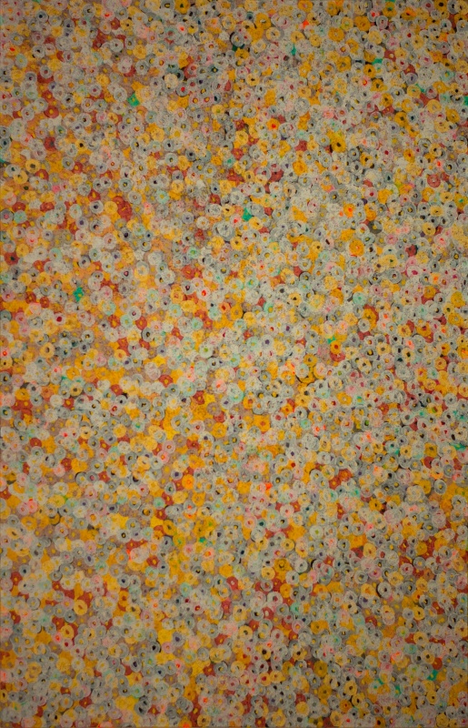 Luminous Field