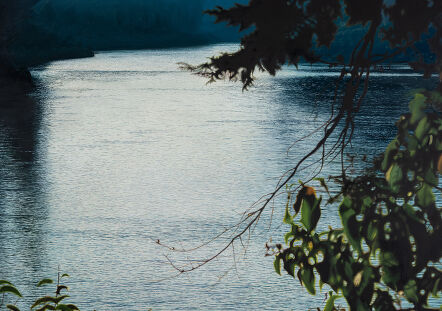 Inscapes Basist Kumar
