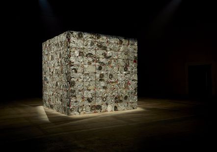 अनहद / Unstruck Subodh Gupta