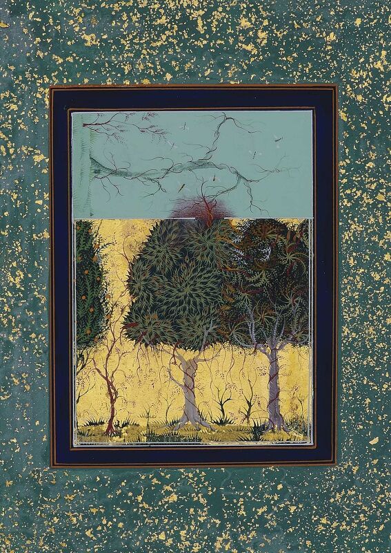 Where the Shadows are so Deep